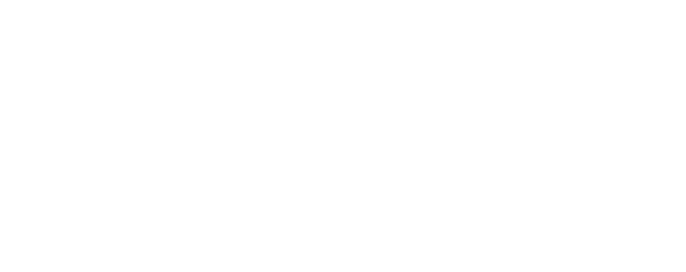 Quaerys Logo
